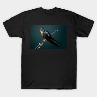 Barn Swallow Looking Over It's Shoulder T-Shirt